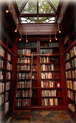 کتابخانه با سقف شیشه ای